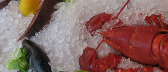 the-lobster-place-10011_535×230.jpg